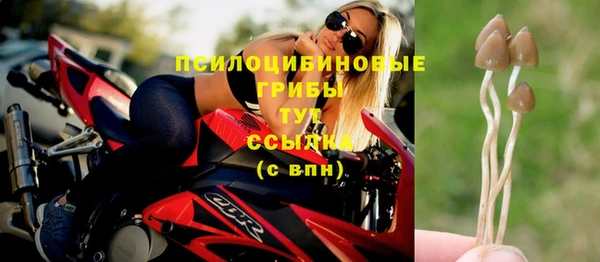скорость Баксан