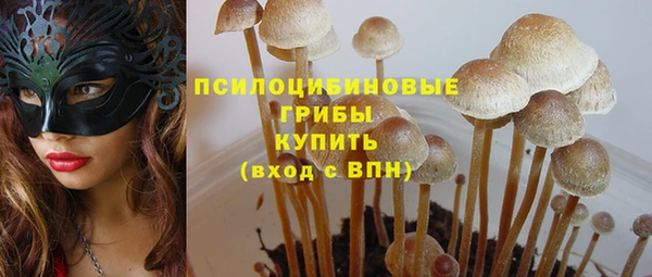шишки Балабаново